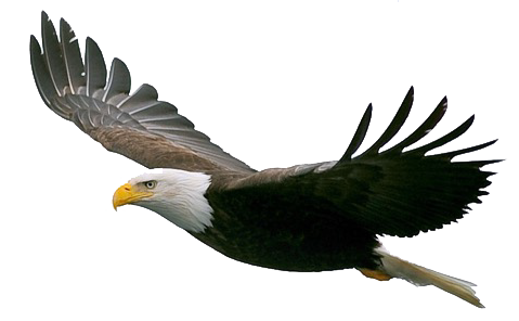 Eagle Transportation Services, Inc.